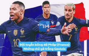 Đội tuyển bóng đá Pháp (France): Những chú gà trống Gaulois