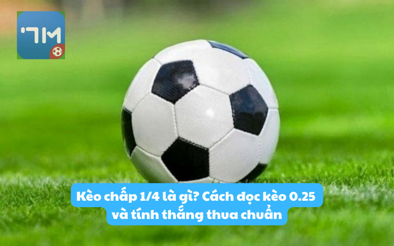 Kèo chấp 1/4 là gì? Cách đọc kèo 0.25 và tính thắng thua chuẩn